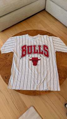Vintage Chicago Bulls Pinstripe T-Shirt Nutmeg Mills
